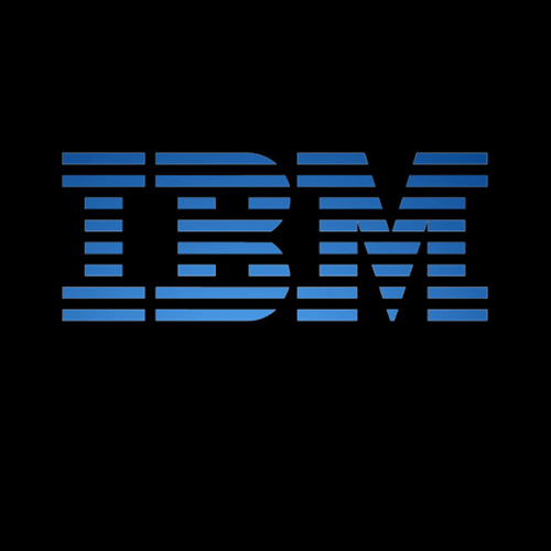 IBM Government 2010